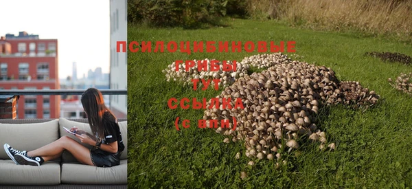 СК Алексеевка